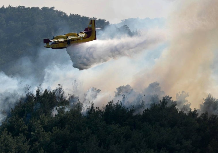 Incendio forestal en el Parque Nacional Dadia en Evros