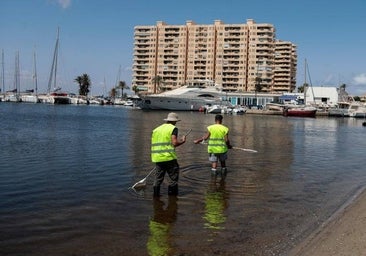 Vía libre a los proyectos urbanísticos del Mar Menor tras la negativa de PSOE, Podemos y Vox a renovar la moratoria que lo impide