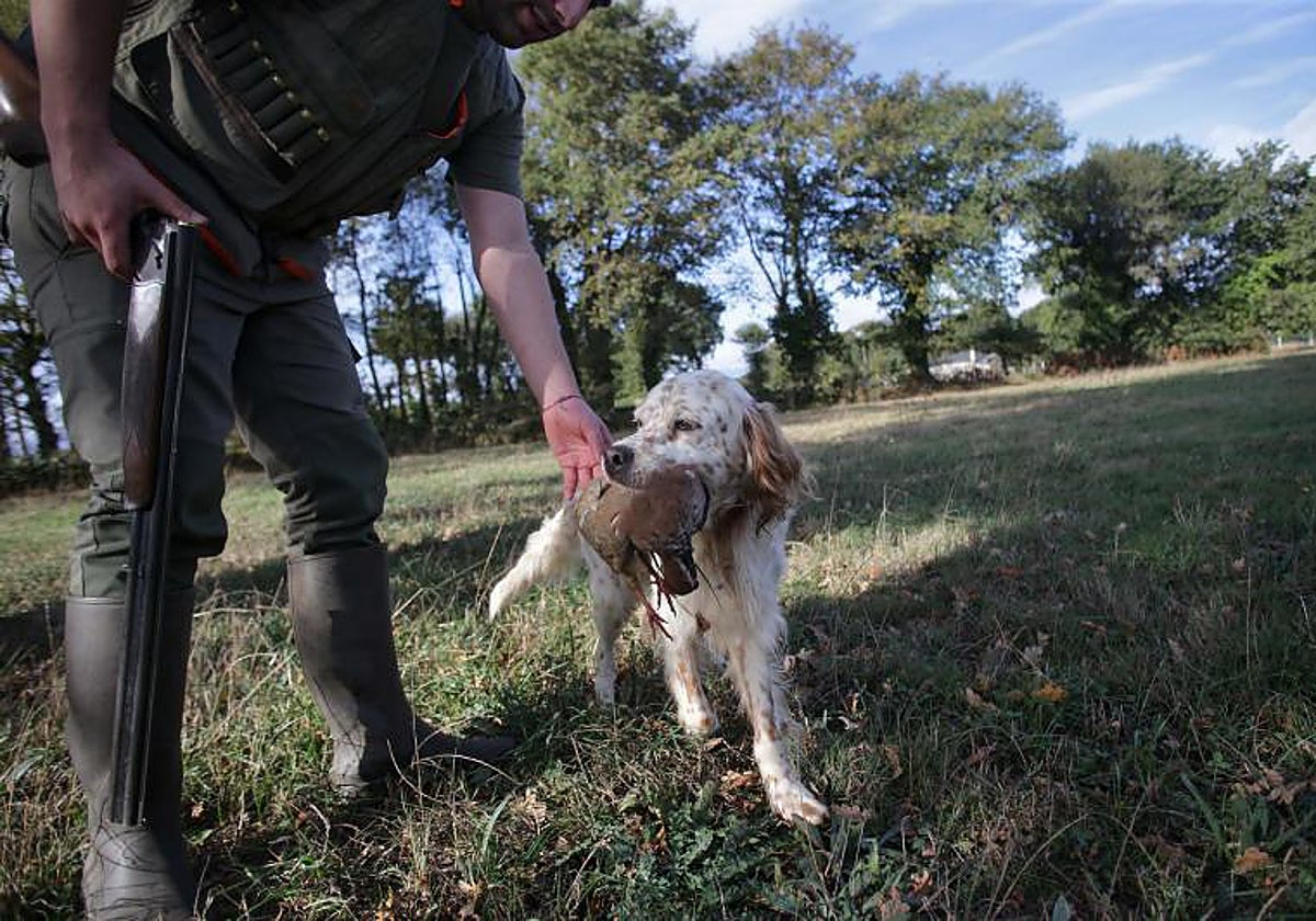 Un cazador con su perro