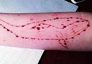 Muere un británico en Portugal tras recibir varias puñaladas mientras jugaba al juego 'Ballena Azul'