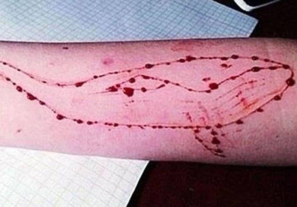 La 'Ballena Azul', un peligroso reto que se ha propagado por internet