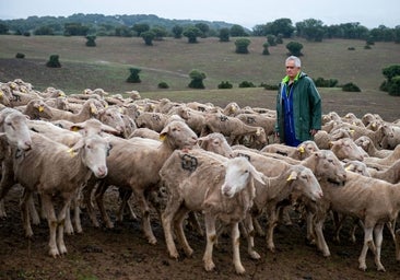 España recupera el estatus de país libre frente a la viruela ovina y caprina