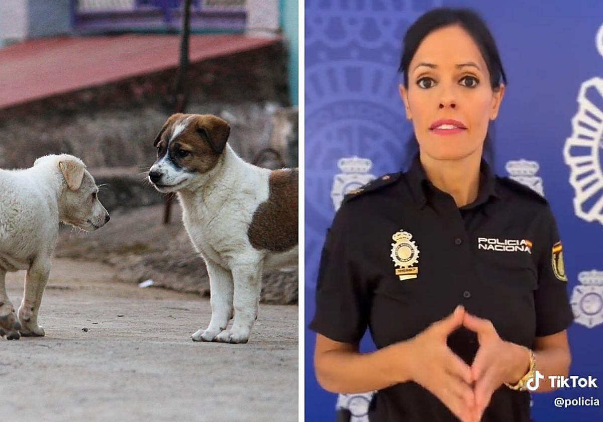 La policía advierte sobre varios comportamientos ilegales con animales