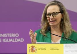 Igualdad plantea acceder a antecedentes penales de violencia de género de turistas extranjeros