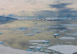 La aceleración del deshielo en la Antártida occidental es «inevitable»