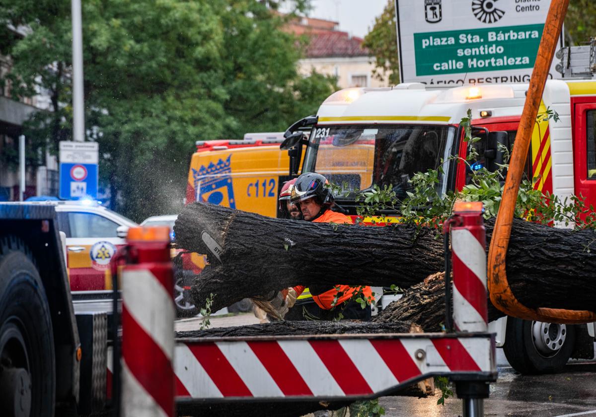 Previsión de la llegada de la borrasca Domingos a España