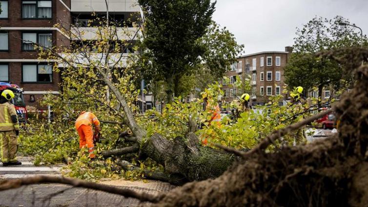 La borrasca Ciarán deja al menos quince muertos en Europa