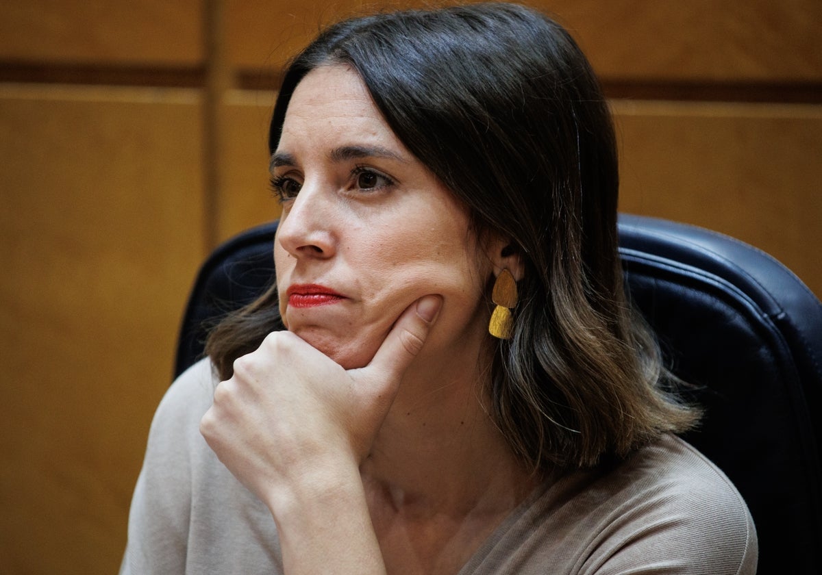 La ministra de Igualdad, en funciones, esta tarde en el Senado