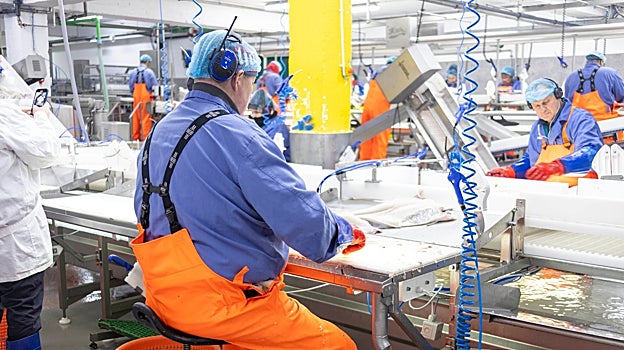 Planta procesadora de bacalao de Vísir, en Grindavík