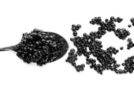 La mitad del caviar que se vende en Europa es ilegal o falso
