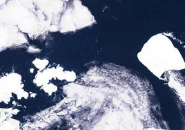 El mayor iceberg  del mundo empieza a moverse tras más de 30 años encallado en la Antártida