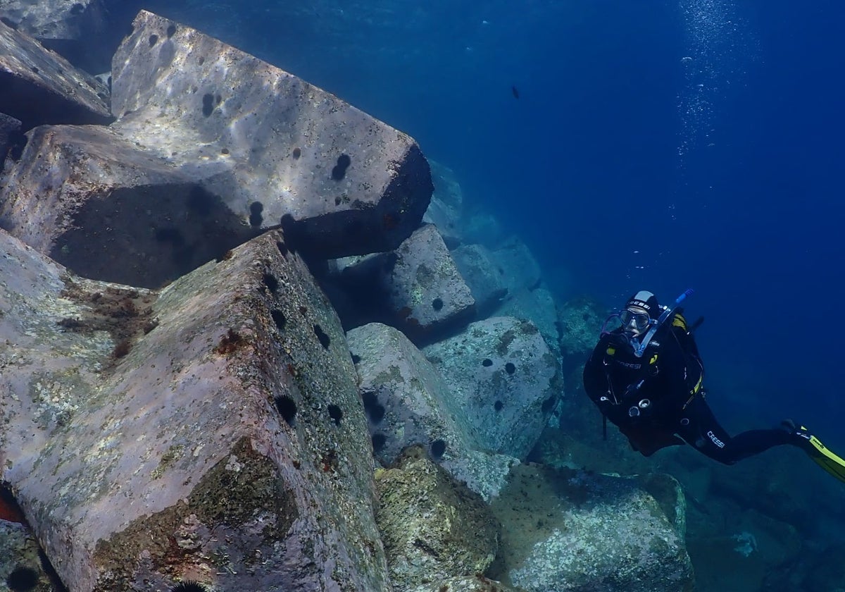 Un buceador observa un desierto submarino para Observadores del Mar