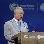 La «llamada a las armas» del Rey Carlos III en la Cumbre del Clima: «Nuestra supervivencia está en peligro»