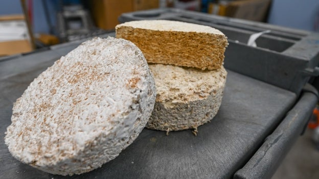 Esta boya de madera y roca caliza es capaz de absorber CO2 del océano
