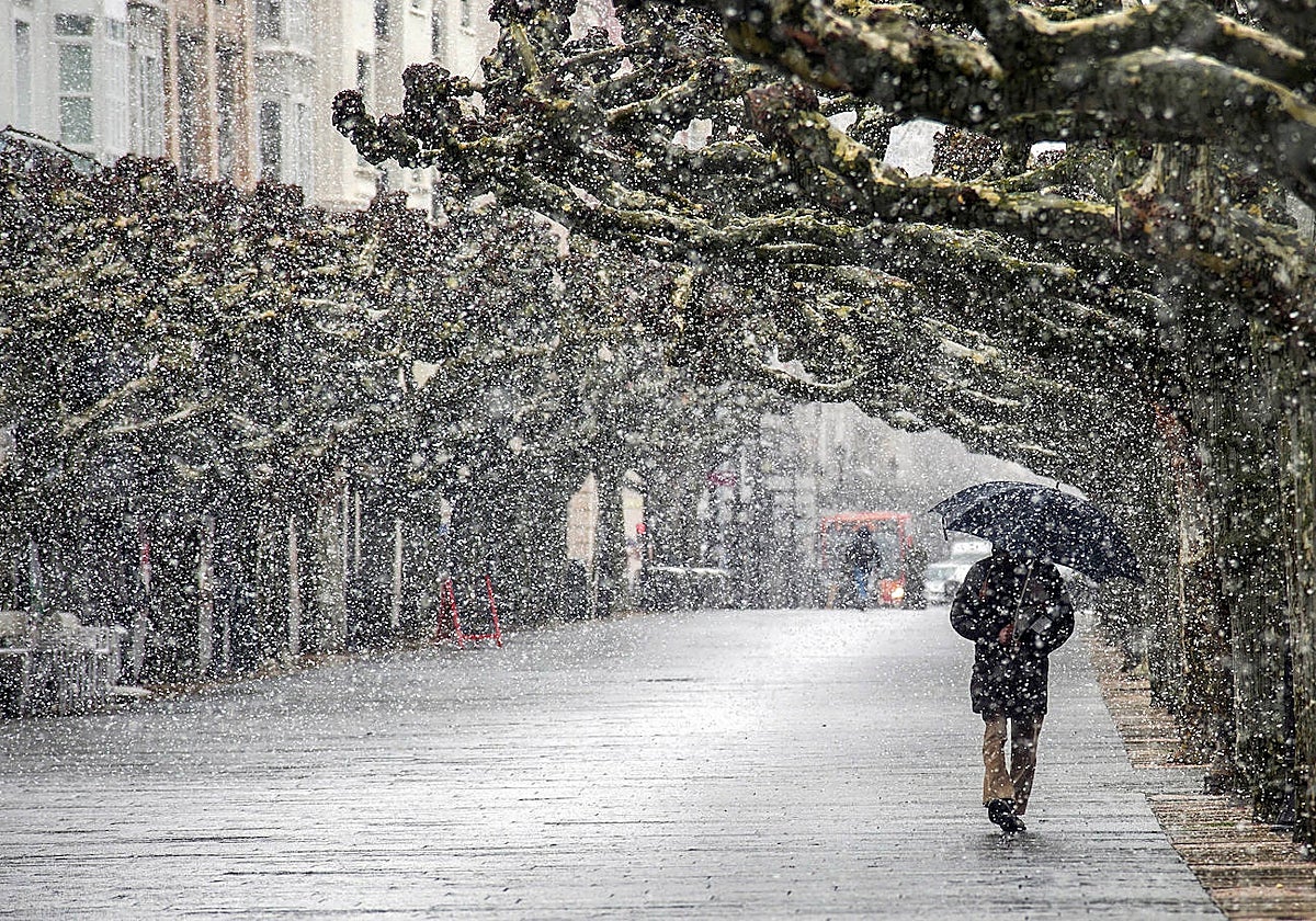 Una persona camina por la calle mientras nieva