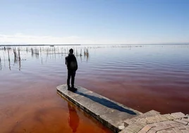 La Albufera de Valencia quiere blindar su agua como Doñana