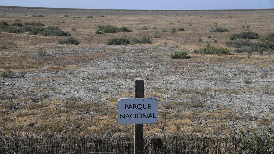 El parque nacional de Doñana, amenazada por la sequía