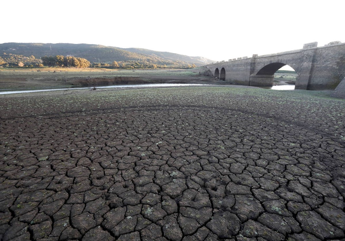 El calor y la falta de lluvias han secado los embalses españoles. En la foto, el embalse de Charco Redondo en el término municipal de Los Barrios (Cádiz)