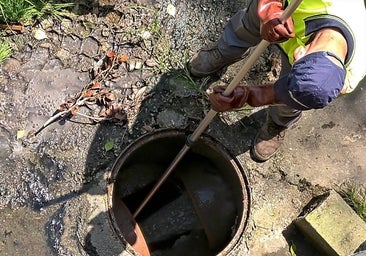 Trazas de tierras raras y metales pesados en la sangre de siete de cada diez barceloneses