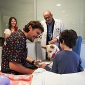 ¿Puede un niño trasplantado tener mascota? Esto es lo que hay que saber