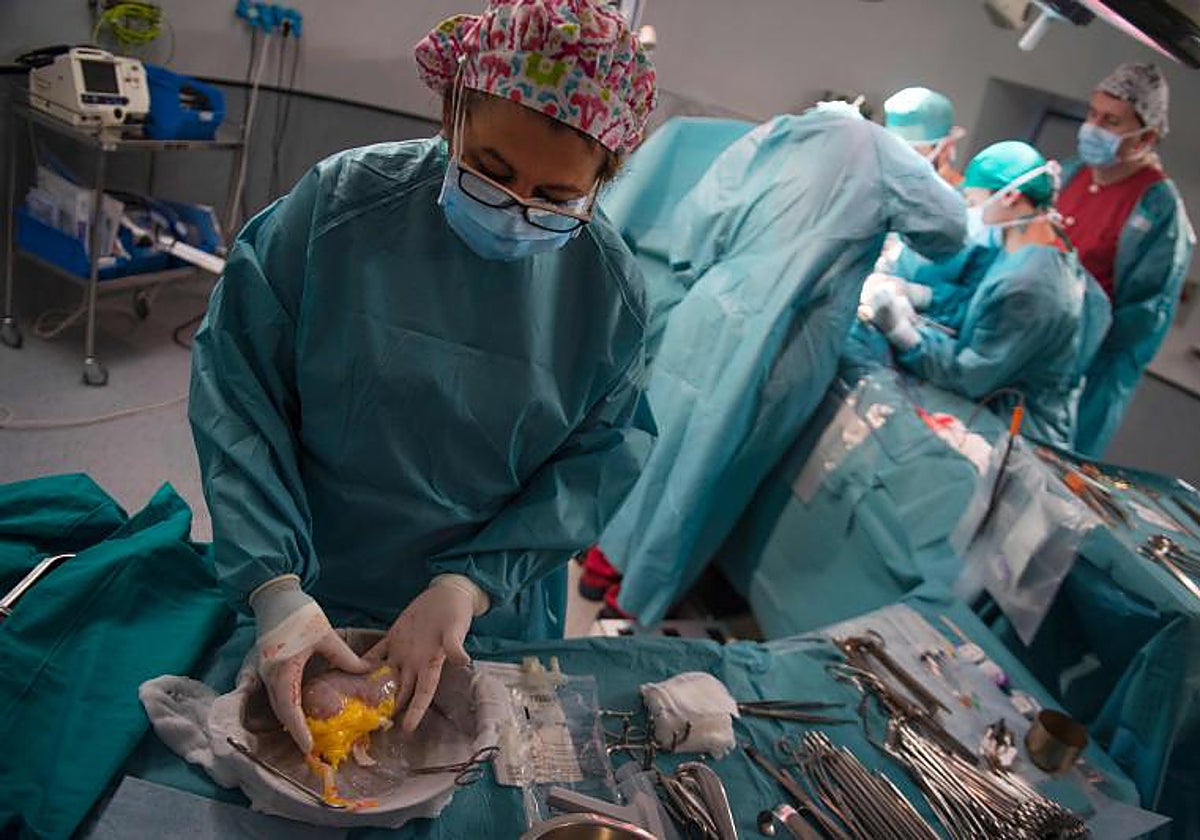 Médicos realizan un trasplante en el Hospital Universitario La Paz de Madrid en 2017