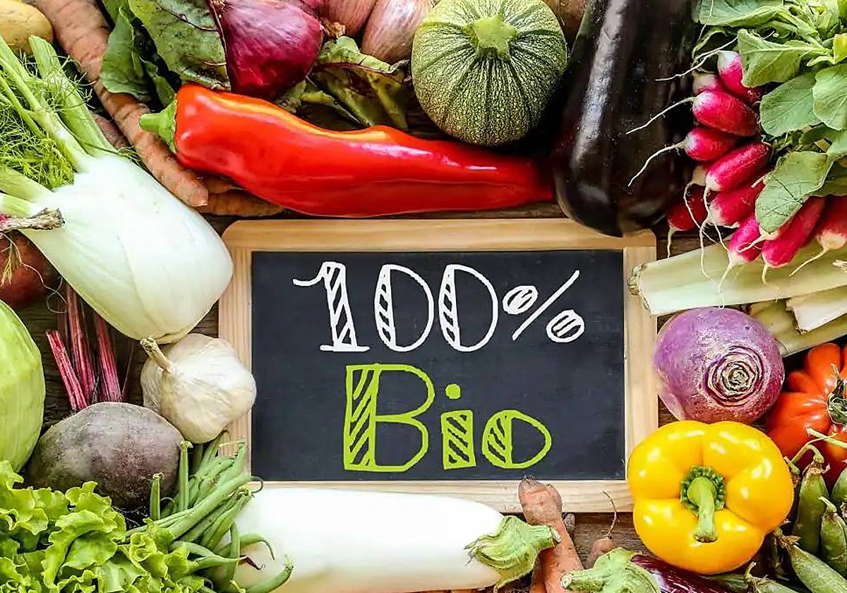 Adiós al &#039;ecopostureo&#039;: la Eurocámara avala prohibir los anuncios que engañan a los consumidores con reclamos &#039;verdes&#039;