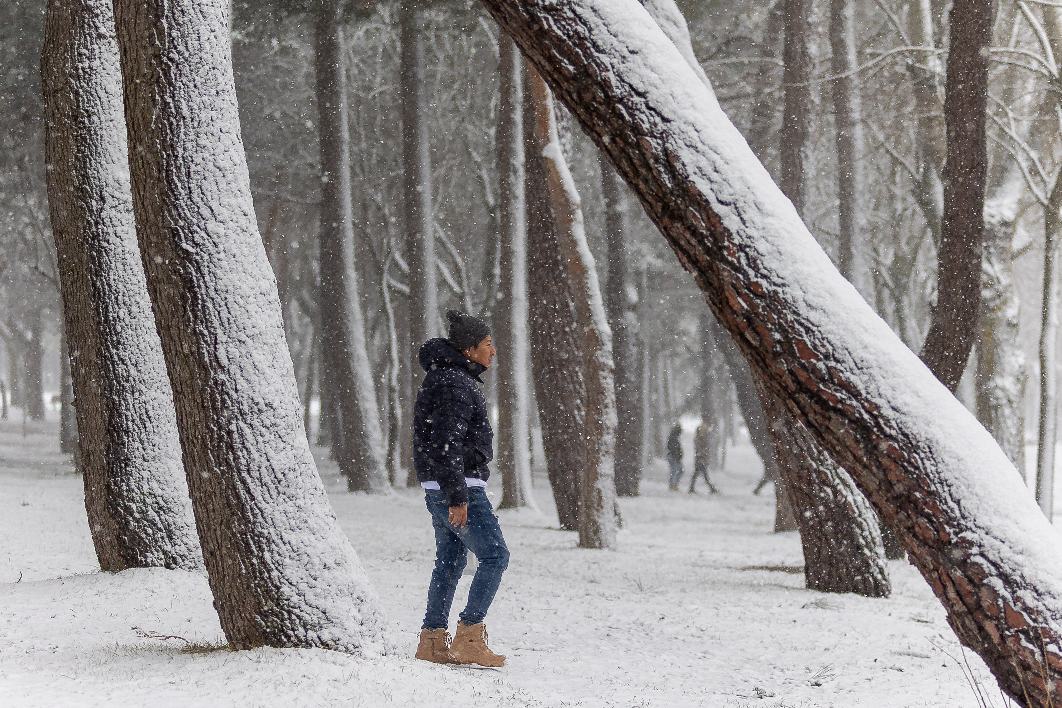 Un joven camina entre los árboles mientras nieva, en Soria