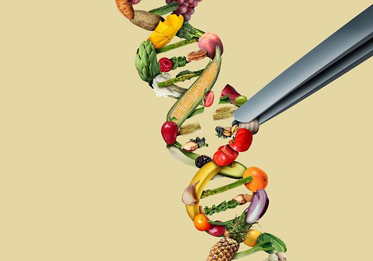 Una treintena de premios Nobel y más de un millar de científicos piden a la UE agilizar la edición genética en cultivos