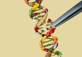 Una treintena de premios Nobel y más de un millar de científicos piden a la UE agilizar la edición genética en cultivos