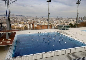 Sequía en Cataluña: qué está prohibido hacer a partir de ahora y qué pasará si sigue sin llover