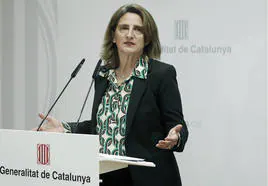 Ribera llama «rencoroso» a Aznar por acusar a Zapatero de retirar el Plan Hidrológico por razones ideológicas