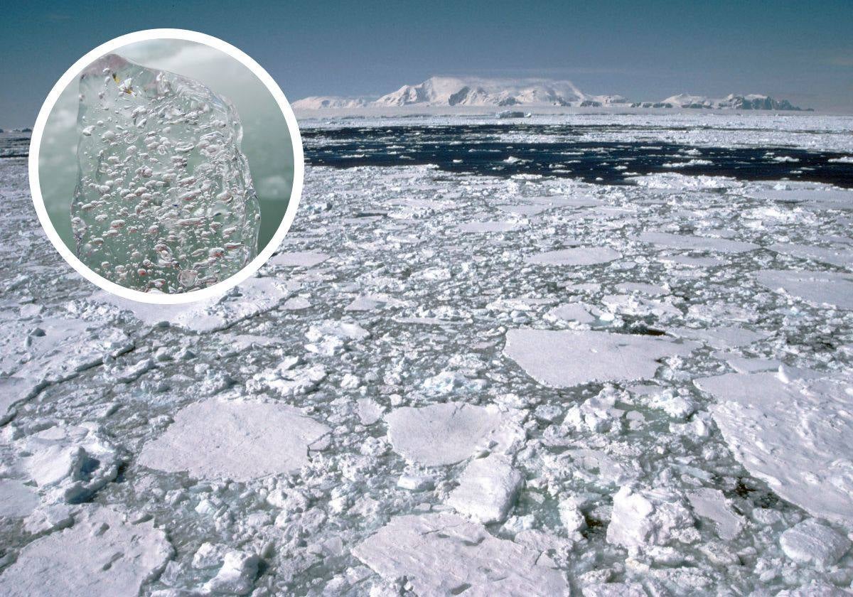 En el detalle, un núcleo de hielo formado por burbujas de aire antiguo