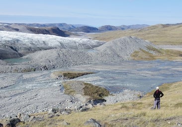 Groenlandia pierde su hielo... que se está convirtiendo en vegetación