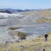 Groenlandia pierde su hielo... que se está convirtiendo en vegetación