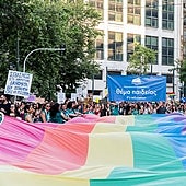 «¿Cómo vamos a explicar a nuestros hijos que forman parte de una familia normal cuando ni siquiera lo somos legalmente?»