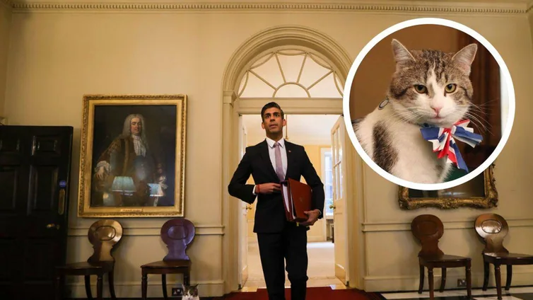 Larry, el gato 'oficial' que evita que Downing Street esté infestado de ratones