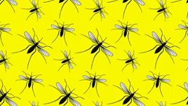 La innovación planta cara al ser vivo más letal del planeta, mostrando su expansión y modificación genética