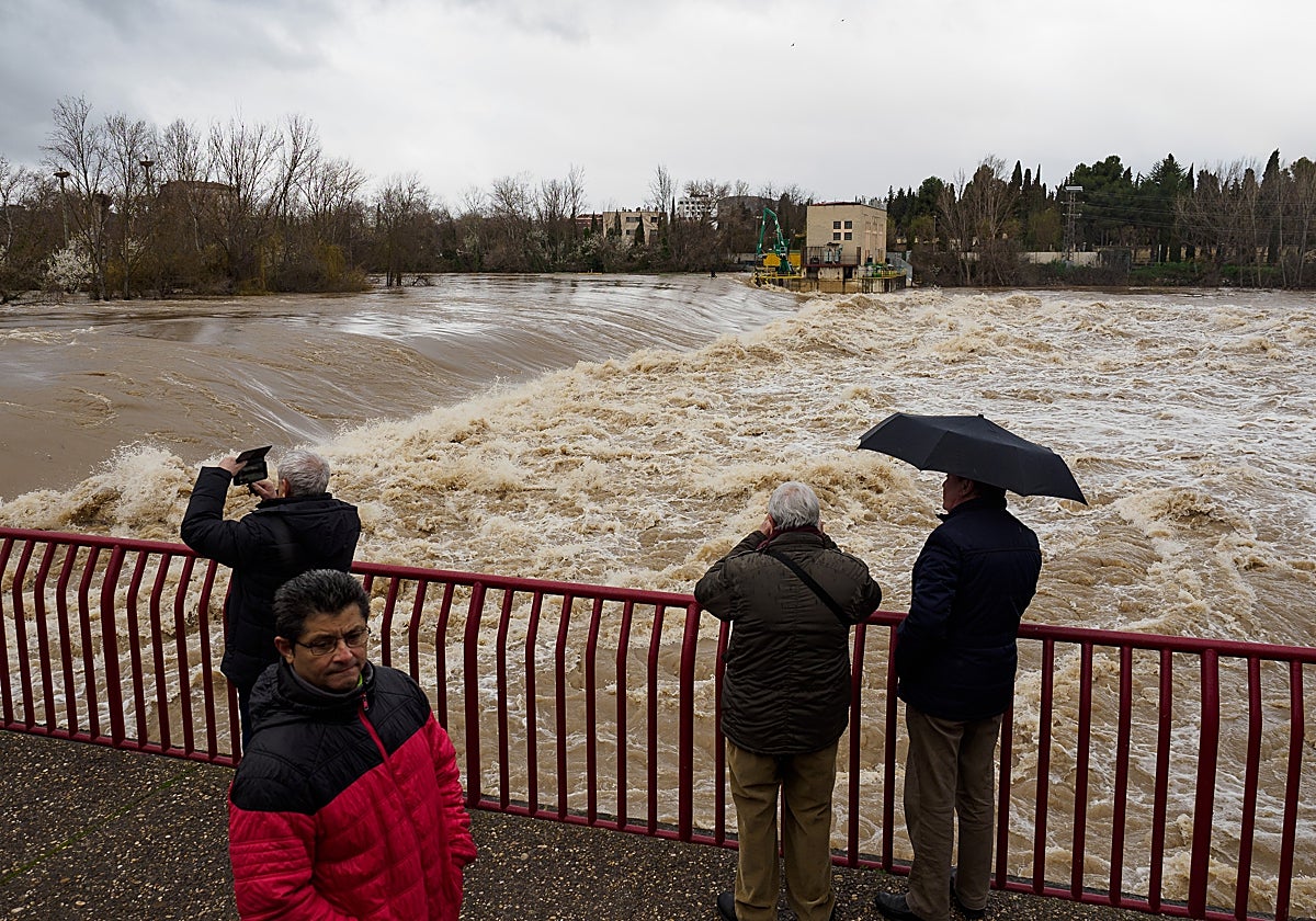 Varias personas observan el paso del río Ebro desbordado en Logroño (La Rioja).