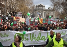 Miles de personas marchan en Madrid «a favor de la vida» y contra la «cultura de la muerte»