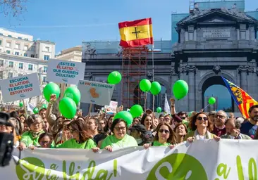 Más de 500 entidades marchan este domingo en Madrid a favor de la vida