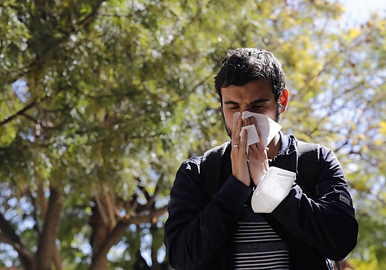 Un afectado por la alergia estacional
