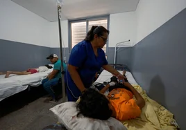 Argentina sufre el peor brote de dengue de su historia