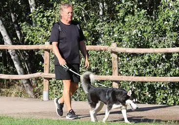 Soy veterinario y esta es la forma correcta de usar la correa cuando sacas a pasear a tu perro