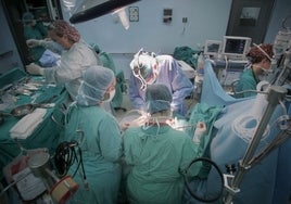 Nuevo récord español: 48 trasplantes en solo 24 horas