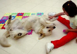 Un perro jugando con una niña