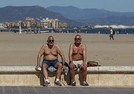 Los anillos de los árboles constatan que el verano de 2023 fue el más cálido en los últimos 2.000 años