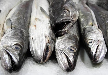 La UE emite una alerta sanitaria «grave» por un pescado con anisakis procedente de Marruecos con destino al mercado español
