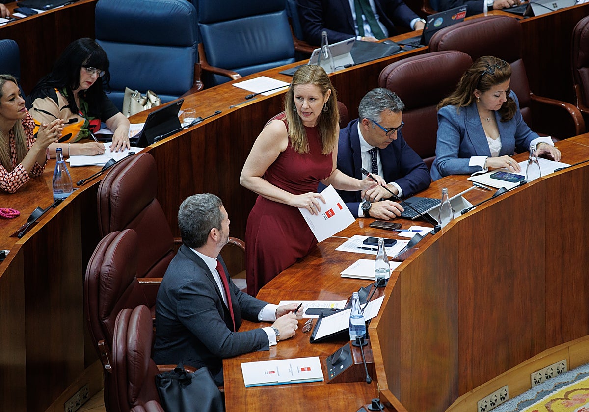 La consejera de Familia, Juventud y Asuntos Sociales de la Comunidad de Madrid, Ana Dávila