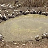 Emergencia por la sequía en el sur de Italia, mientras el norte sufre granizadas