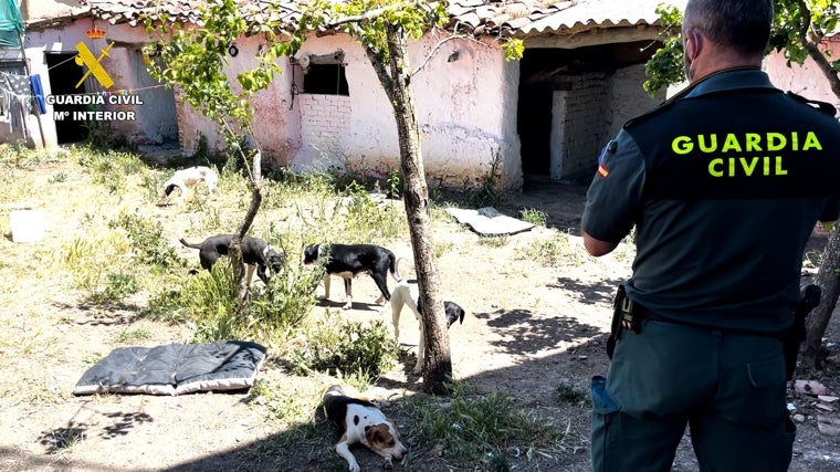 Imágenes del refugio, en pésimas condiciones